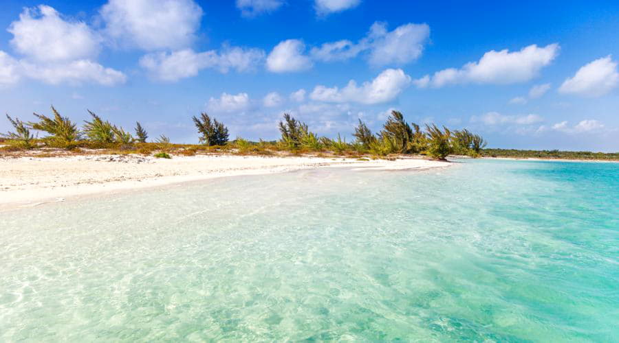 Le migliori opzioni di noleggio auto a Pino Cay